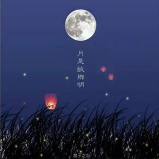 第5篇《月夜忆舍弟》杜甫