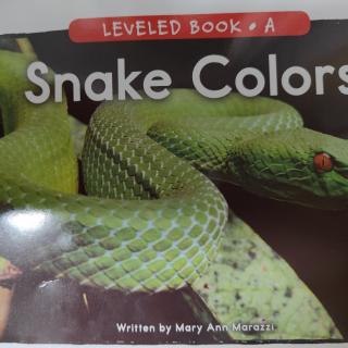 A20-Snake Colors