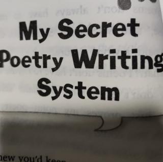 My secret poetry writing system