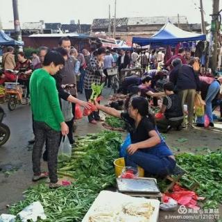 【诗选粹】纤夫 ‖《露天菜场》 朗诵｜苡子