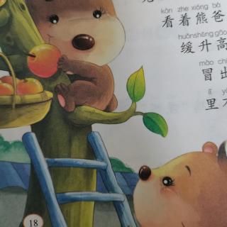 熊爸爸摘苹果🍎