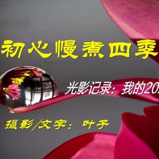 初心漫煮四季