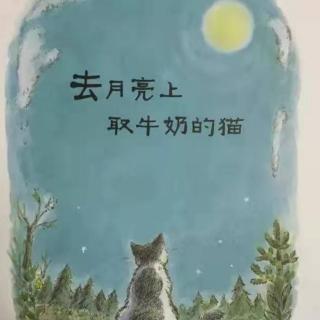 去月亮🌙上取牛奶的猫🐱