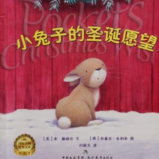Lily老师讲故事——《小兔子的圣诞愿望》