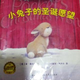 斑马玩学故事电台——《小兔子的圣诞愿望》