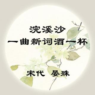 晏殊——《浣溪沙·一曲新词酒一杯》