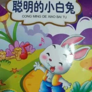 朱曲镇双语幼儿园晚安故事554《聪明的小白兔》