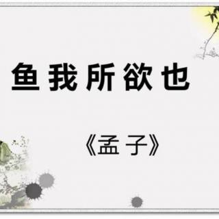 第篇《鱼我所欲也》孟子