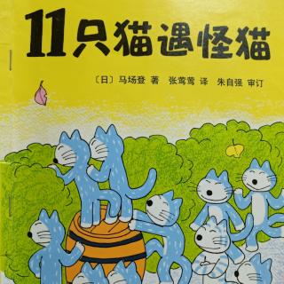 11只猫遇怪猫