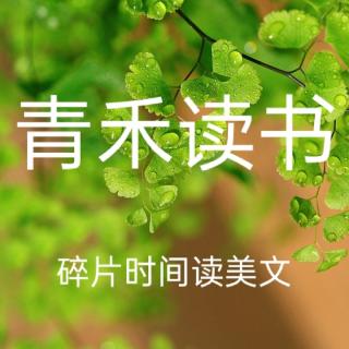 《天山行色》南山塔松｜文：汪曾祺