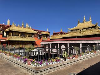《藏地游历见闻》第九天~布达拉宫和大昭寺