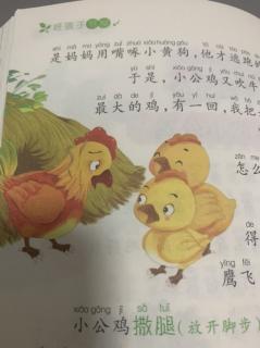 十街幼儿园园长妈妈睡前故事232《爱吹牛的小公鸡》