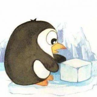 企鹅寄冰（宝贝版）