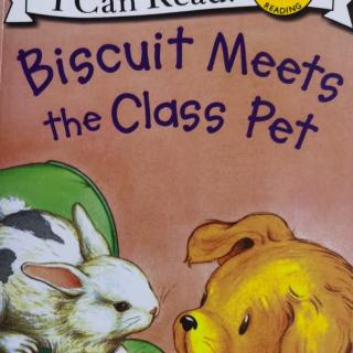 Biscuit Meets the class pet