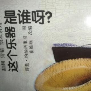 这个乐器是谁呀？