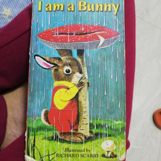 I am a bunny