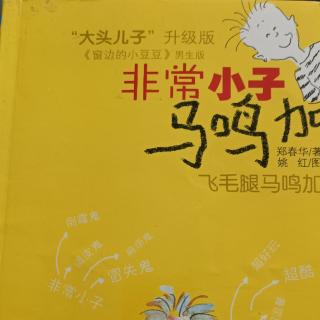 非常小子马鸣加7