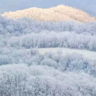 《沁园春·雪》毛泽东