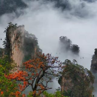 幸福深处《七律 登庐山》