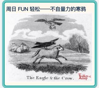 The eagle and the crow🦅不自量力的寒鸦