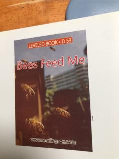 Bees feed Me