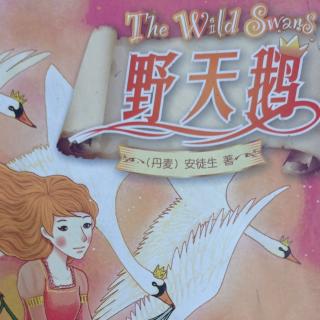 The Wild Swans(1)