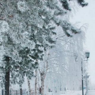 《雪》作者：鲁迅