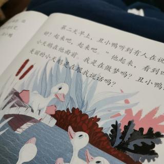 丑小鸭3