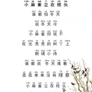 1(1)班 小麻雀立在枝头