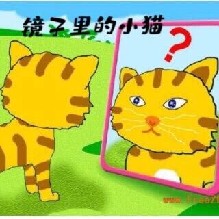 柳钢“优贝”绘本故事《镜子里的小猫》