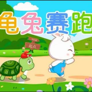 朱曲镇双语幼儿园晚安故事559《龟兔赛跑》