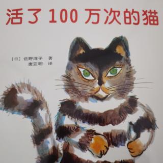 活了100万次的猫