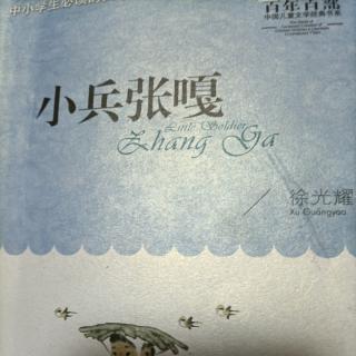 小兵张嘎