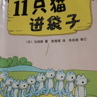 11只猫进袋子