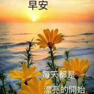 早上好！😊😊☀☀