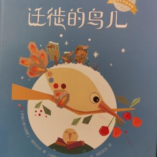 《迁徙的鸟儿》