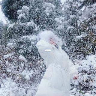 《江南的雪》碑林路人