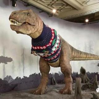 【第一季 05】为了迎接圣诞节，恐龙穿上了毛衣！