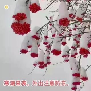 喀纳斯早安心语12.25