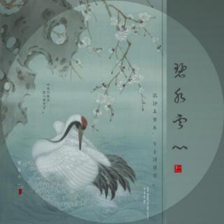 阿富汗，请别为我哭泣 - 碧水云心读文作品👏（来自FM91254770）