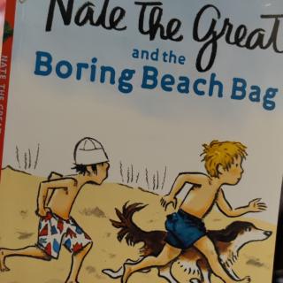 Boring Beach Bag