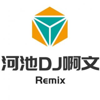 DJ啊文 - 秒针（DJ版）