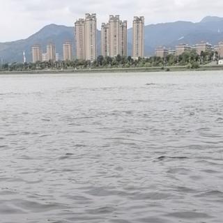 抚州市诗词楹联协会付雨龙的诗-拜谒伟人铜像