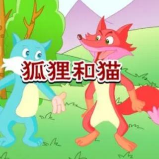 朱曲镇双语幼儿园晚安故事563《狐狸和猫》
