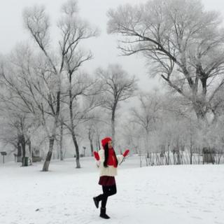 《看雪》网络摘选   朗读    茉莉