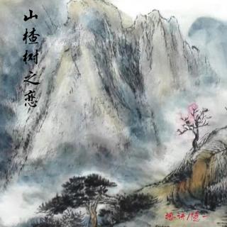 《山楂树之恋》10