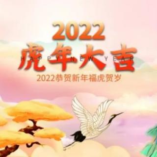 玄正道长详解-2022年十二生肖运程（一）