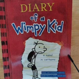 Diary of a Wimpy Kid 06