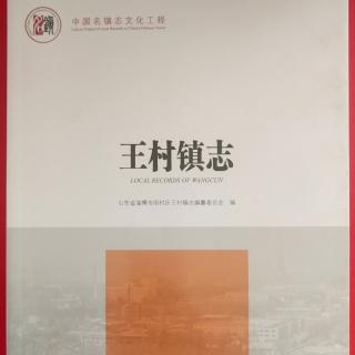 郊游吟咏（20）王村镇志编纂委员会 主编:李国经  孙方之