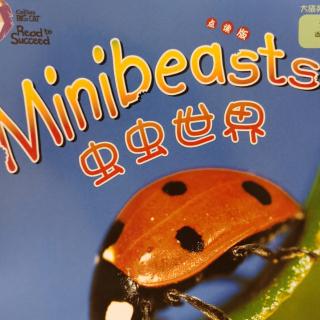 预备级1 Minibeasts